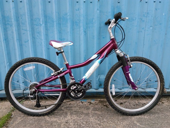 gary fisher tyro bike